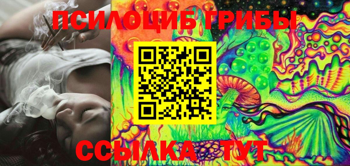 Псилоцибиновые грибы GOLDEN TEACHER  Псилоцибиновые грибы Magic Shrooms  Кулебаки  Вход с VPN 