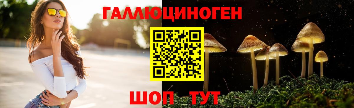 Галлюциногенные грибы GOLDEN TEACHER Кулебаки